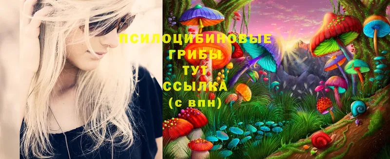 гидра зеркало  Далматово  Галлюциногенные грибы MAGIC MUSHROOMS 